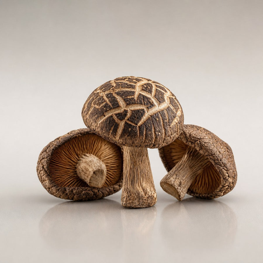 Shiitake